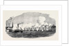 The City Steamboat Company's Vessels. by Anonymous
