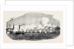 The City Steamboat Company's Vessels. by Anonymous