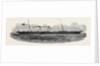 The Wave Queen Steamer, 1852 by Anonymous