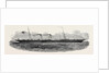 The Wave Queen Steamer, 1852 by Anonymous