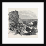 Musical Fete Champetre at Watcombe, Near Torquay, 1852 by Anonymous