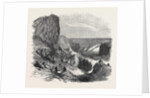 Musical Fete Champetre at Watcombe, Near Torquay, 1852 by Anonymous