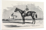 Kingston, the Winner of the Goodwood Cup, 1852 by Anonymous