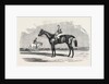 Kingston, the Winner of the Goodwood Cup, 1852 by Anonymous