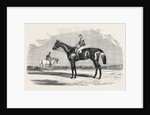 Kingston, the Winner of the Goodwood Cup, 1852 by Anonymous
