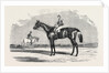 Kingston, the Winner of the Goodwood Cup, 1852 by Anonymous