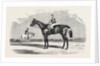Kingston, the Winner of the Goodwood Cup, 1852 by Anonymous