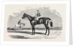 Kingston, the Winner of the Goodwood Cup, 1852 by Anonymous