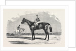 Kingston, the Winner of the Goodwood Cup, 1852 by Anonymous