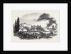 Great Fire at Montreal, Sketched from the North Corner of the Champ De Mars, 1852 by Anonymous
