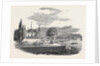 Vevay and the Lake Leman, 1852 by Anonymous