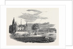 Vevay and the Lake Leman, 1852 by Anonymous