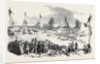 Fete at Strasbourg: Passage of the Greater Rhine, 1852 by Anonymous