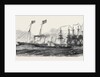 Her Majesty's Cruise, the Royal Squadron Leaving the Isle of Wight, 1852 by Anonymous