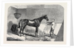 Lord John Scott's the Reiver, Winner of the July Stakes, at Newmarket, 1852 by Anonymous