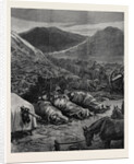 The Afghan War: Sleeping on the Battlefield the Night Before the Attack on Fort Ali Musjid 1879 by Anonymous