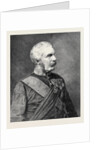 General Sir Frederick Paul Haines G.C.B. C.I.S. Commander-in-Chief of the Army in India 1879 by Anonymous