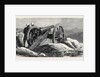 The Afghan War: One of the Guns of Fort Ali Musjid 1879 by Anonymous