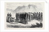 The Afghan War: A Subdivision of a Mountain Battery 1879 by Anonymous