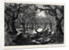 The Thames Floods: Scene in the Home Park Windsor 1879 by Anonymous