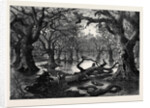 The Thames Floods: Scene in the Home Park Windsor 1879 by Anonymous
