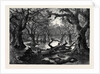 The Thames Floods: Scene in the Home Park Windsor 1879 by Anonymous