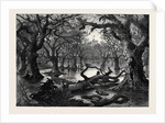 The Thames Floods: Scene in the Home Park Windsor 1879 by Anonymous