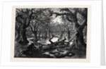 The Thames Floods: Scene in the Home Park Windsor 1879 by Anonymous