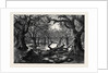 The Thames Floods: Scene in the Home Park Windsor 1879 by Anonymous