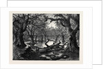 The Thames Floods: Scene in the Home Park Windsor 1879 by Anonymous