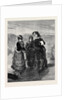 The First Lesson 1879 by Anonymous