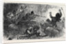 The Afghan War: Trapping Loose-Wallahs 1879 by Anonymous