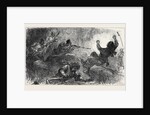 The Afghan War: Trapping Loose-Wallahs 1879 by Anonymous