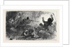 The Afghan War: Trapping Loose-Wallahs 1879 by Anonymous