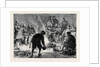 The War in Afghanistan: At the Camp of the 10th Hussars Jellalabad 1879 by Anonymous
