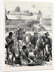 The Zulu War: Fort Ekowe 1879 by Anonymous