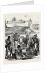 The Zulu War: Fort Ekowe 1879 by Anonymous