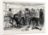 The Zulu War: Practising for the Zulus on Board the Pretoria on the Voyage to Natal 1879 by Anonymous