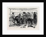 The Zulu War: Practising for the Zulus on Board the Pretoria on the Voyage to Natal 1879 by Anonymous