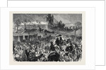 The Miners' Strike in Durham: Great Mass Meeting at Twizell in the County of Durham 1879 by Anonymous