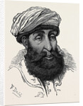 The Afghan War: Sayid Mahmoud Badshah of Kunar 1879 by Anonymous