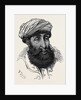 The Afghan War: Sayid Mahmoud Badshah of Kunar 1879 by Anonymous