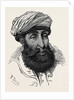 The Afghan War: Sayid Mahmoud Badshah of Kunar 1879 by Anonymous