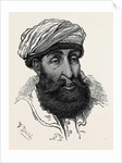 The Afghan War: Sayid Mahmoud Badshah of Kunar 1879 by Anonymous