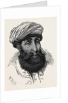 The Afghan War: Sayid Mahmoud Badshah of Kunar 1879 by Anonymous