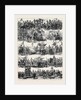 Procession at the Celebration Op the Silver Wedding of the Emperor and Empress of Austria at Vienna 1879 by Anonymous