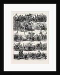 Procession at the Celebration Op the Silver Wedding of the Emperor and Empress of Austria at Vienna 1879 by Anonymous