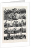 Procession at the Celebration Op the Silver Wedding of the Emperor and Empress of Austria at Vienna 1879 by Anonymous
