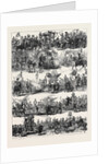 Procession at the Celebration Op the Silver Wedding of the Emperor and Empress of Austria at Vienna 1879 by Anonymous