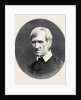 Cardinal Newman 1879 by Anonymous